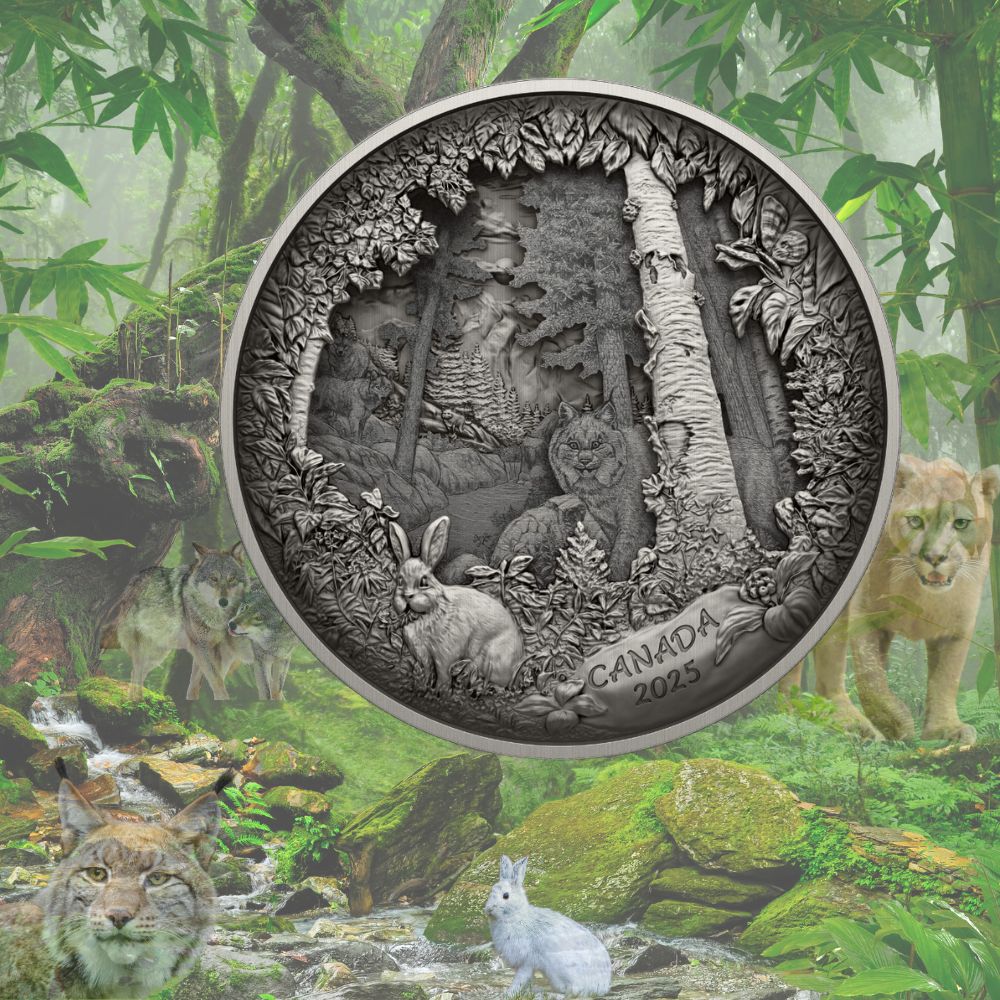 Predator or Prey in Shadow Box – Fine Silver Coin