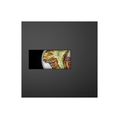 100 YEARS SWISS FRANC IN LIECHTENSTEIN 1 kg kilo Silver Coin 100 Francs Liechtenstein 2024