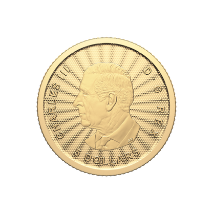 1/10 oz. 99.99% Pure Gold Coin: First Strikes – The Majestic Polar Bears (Premium Bullion)