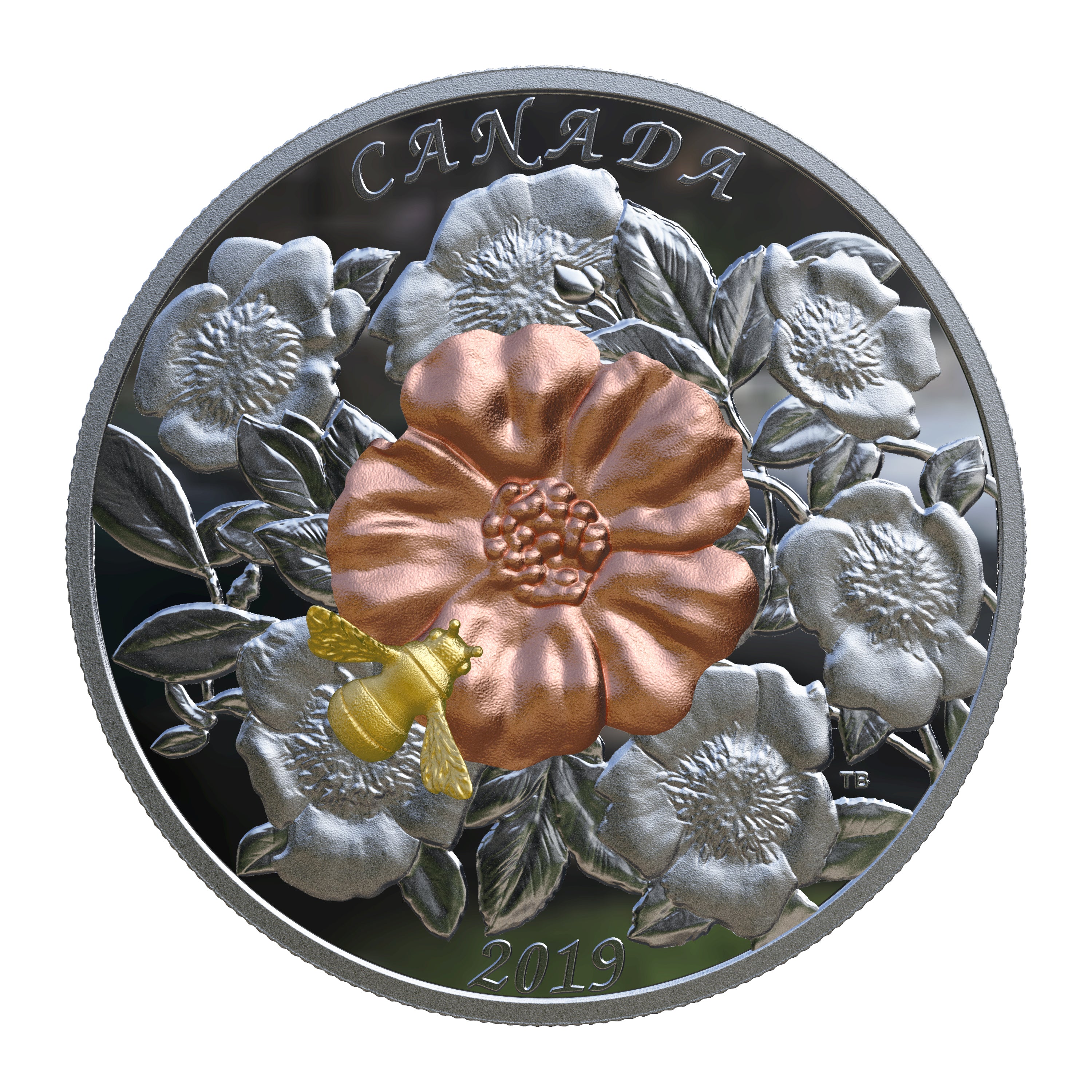BUMBLE BEE AND BLOOM 5 Oz Silver Coin $50 Canada 2019