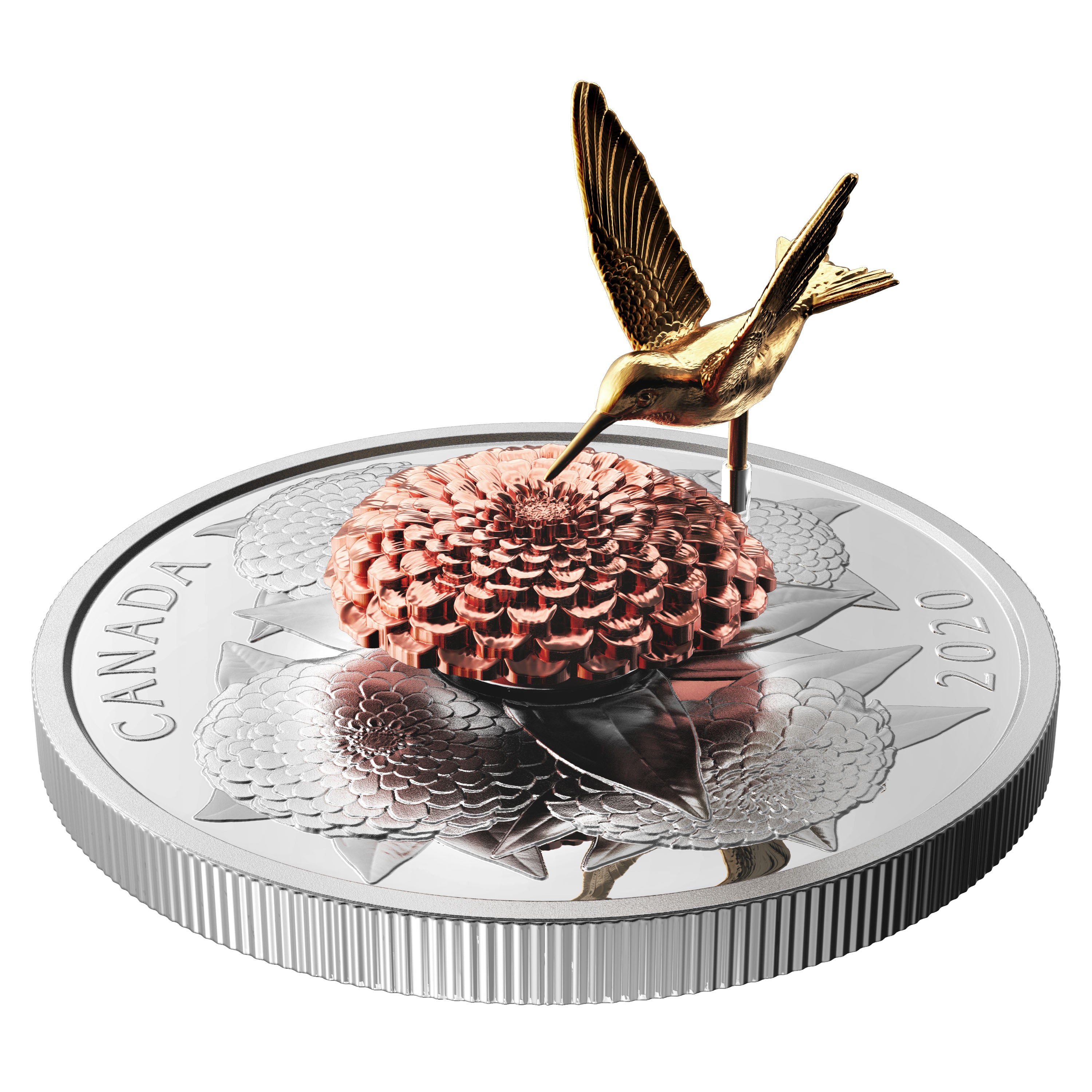 HUMMINGBIRD AND THE BLOOM 5 Oz Silver Coin $50 Canada 2020