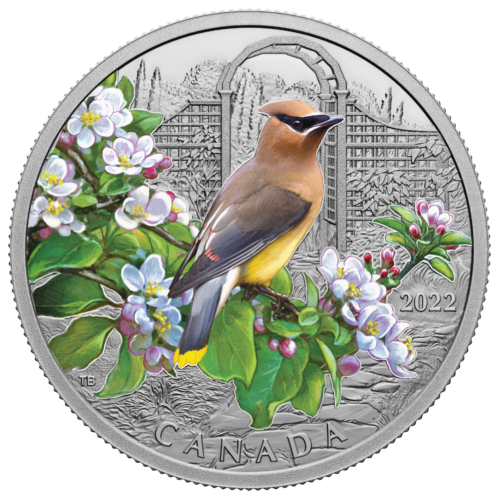 CEDAR WAXWING Colourful Birds 1 Oz Silver Coin $20 Canada 2022