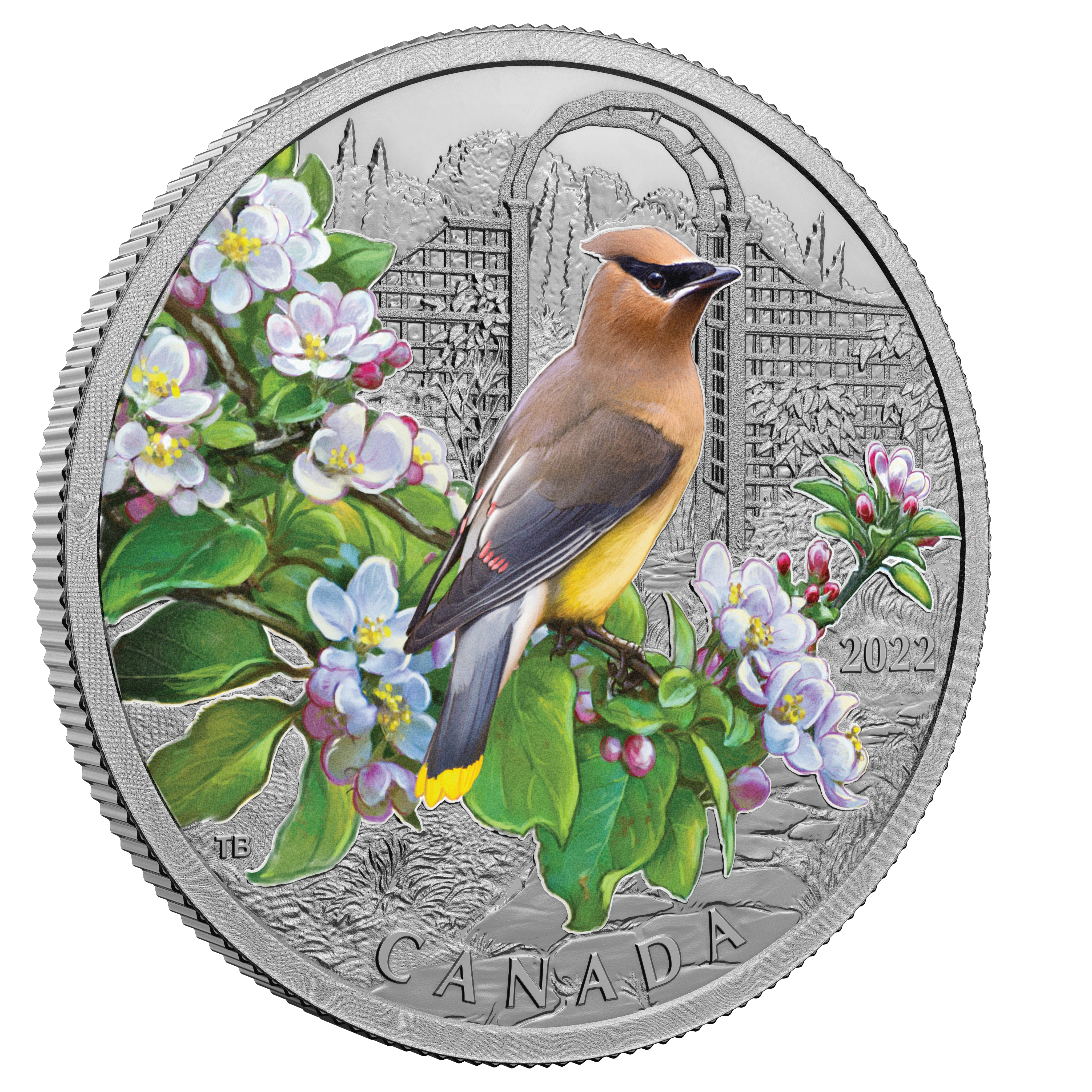 CEDAR WAXWING Colourful Birds 1 Oz Silver Coin $20 Canada 2022