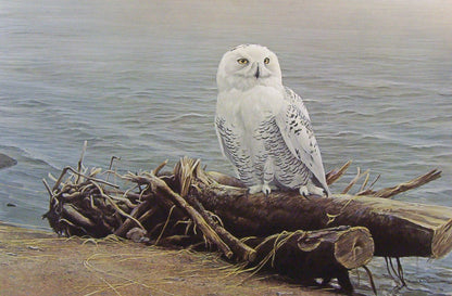 SNOWY OWL ON DRIFTWOOD By Robert Bateman 2 Oz Silver Coin $30 Canada 2022