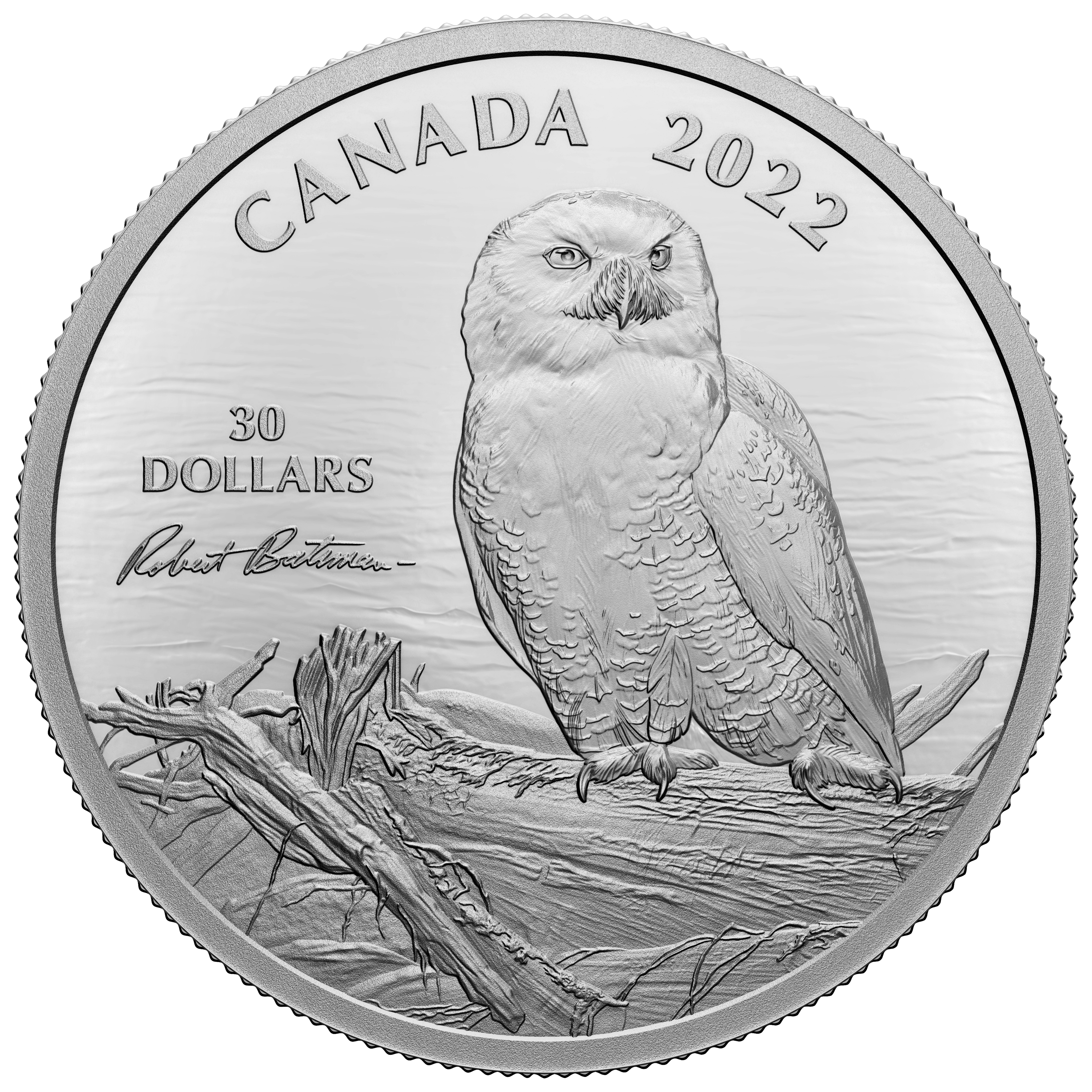SNOWY OWL ON DRIFTWOOD By Robert Bateman 2 Oz Silver Coin $30 Canada 2022