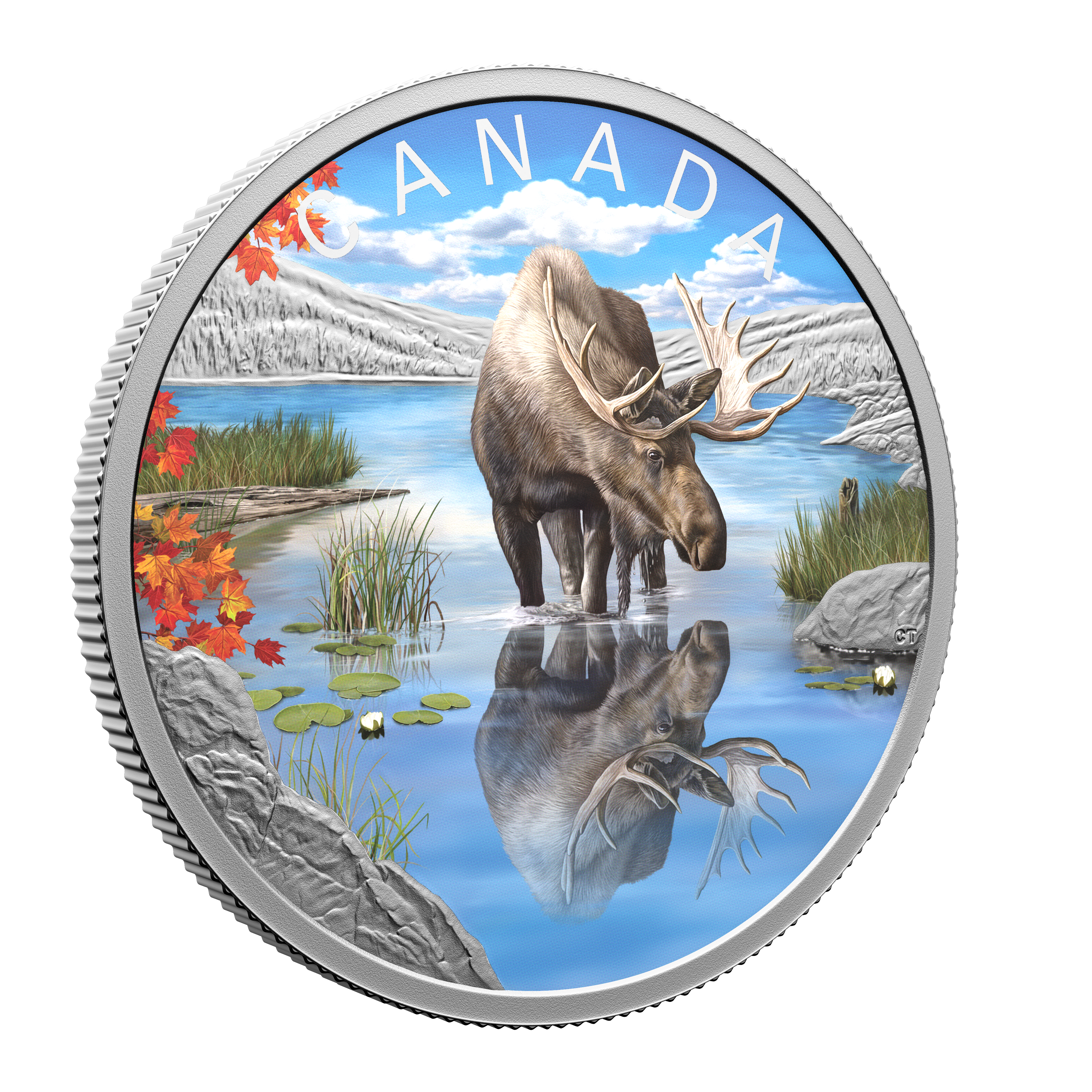 MOOSE Wildlife reflections 1 Oz Silver Coin $20 Canada