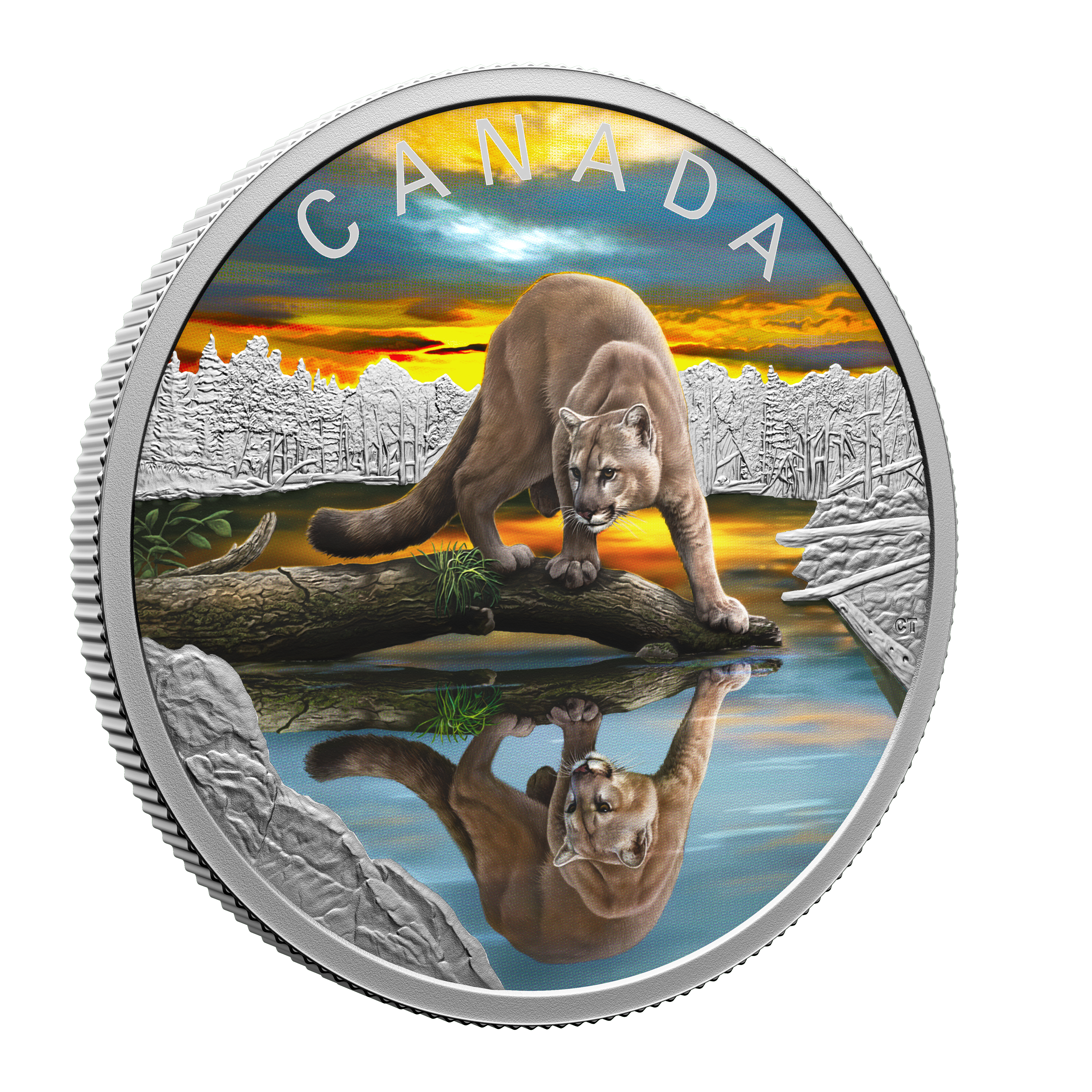 COUGAR Wildlife reflections 1 Oz Silver Coin $20 Canada