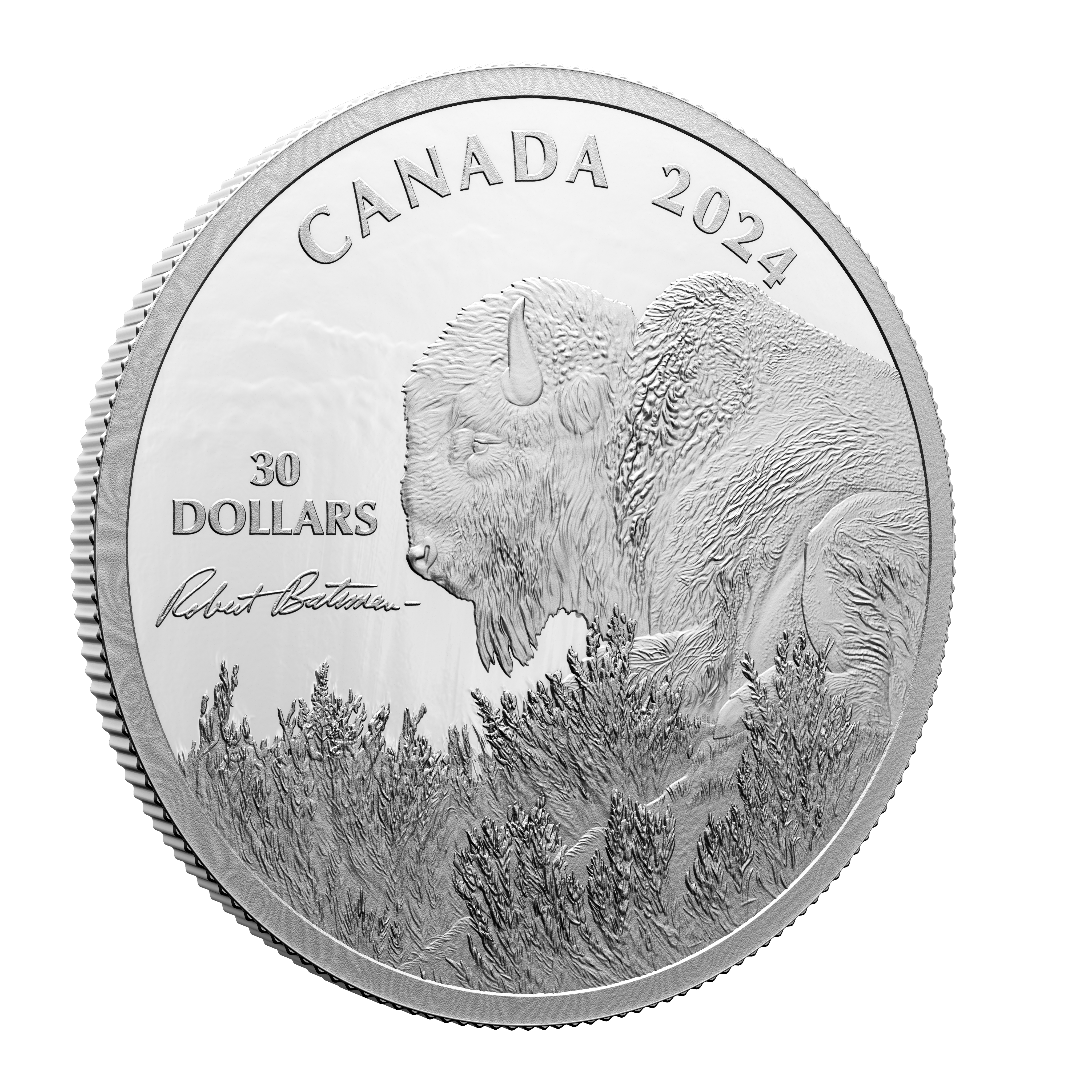 BISON Weather Watch Silver Coin $30 Canada 2024
