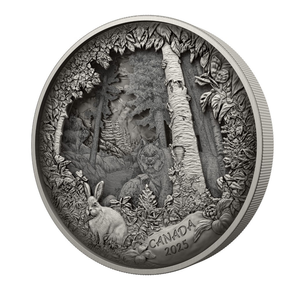 Predator or Prey in Shadow Box Fine Silver Coin Canada 2025 reverse oblique - Royal Canadian Mint