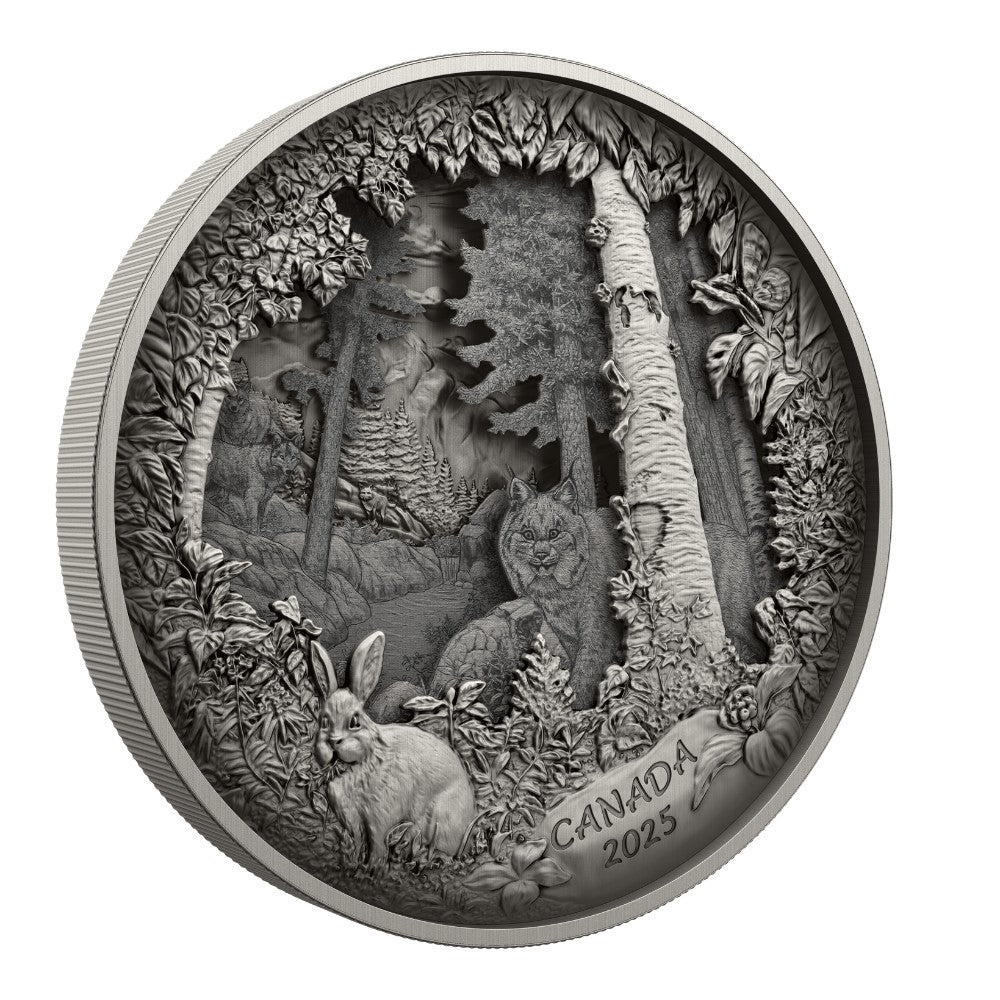 Predator or Prey in Shadow Box Fine Silver Coin Canada 2025 obverse multilayer - Royal Canadian Mint