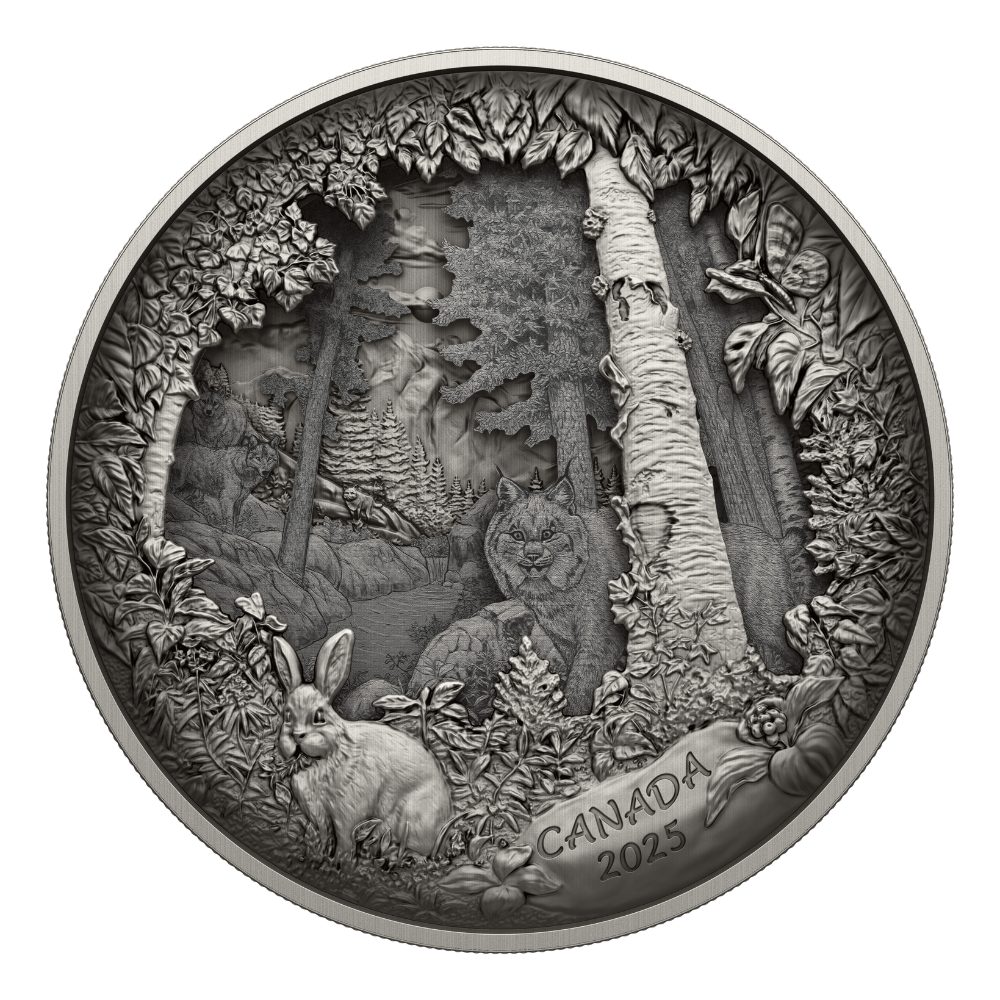 Predator or Prey in Shadow Box Fine Silver Coin Canada 2025