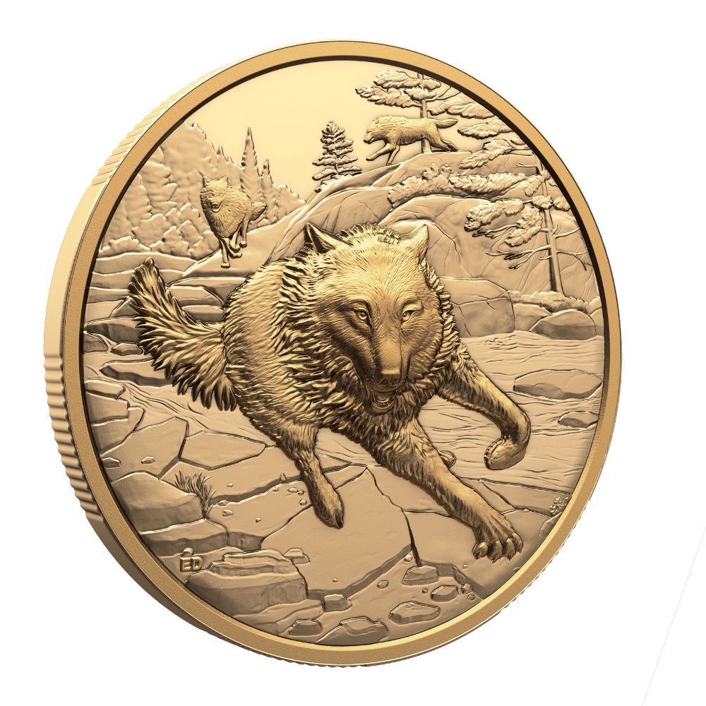 Great Hunters Grey Wolf 1 Oz Pure Gold Ultra High Relief Coin Canada 2025 reverse Royal Canadian Mint