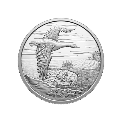 Interconnected Nature 1 Oz Fine Silver Coin Canada 2025