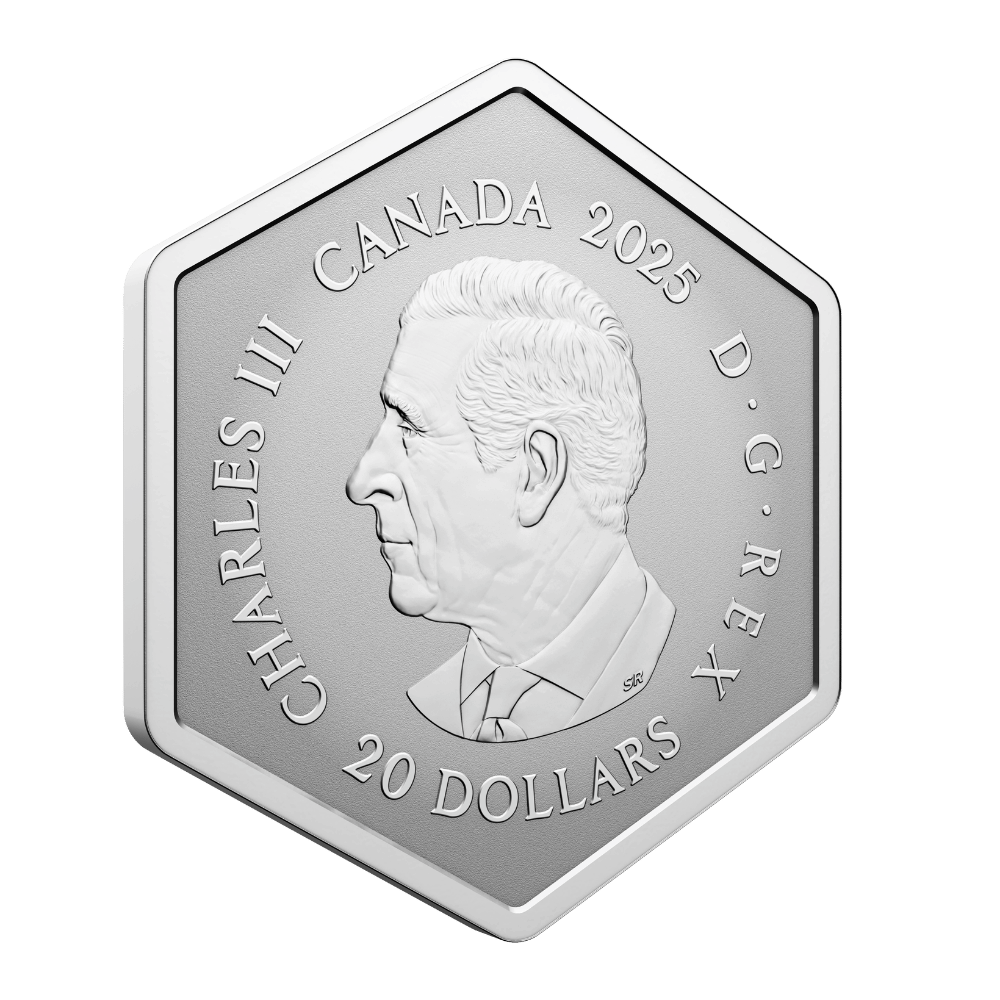 Snowflake 1 Oz Fine Silver Coin Canada 2025 Royal Canadian Mint