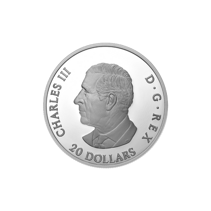 Moon Sky Raven 1 Oz Fine Silver Coin Canada 2025