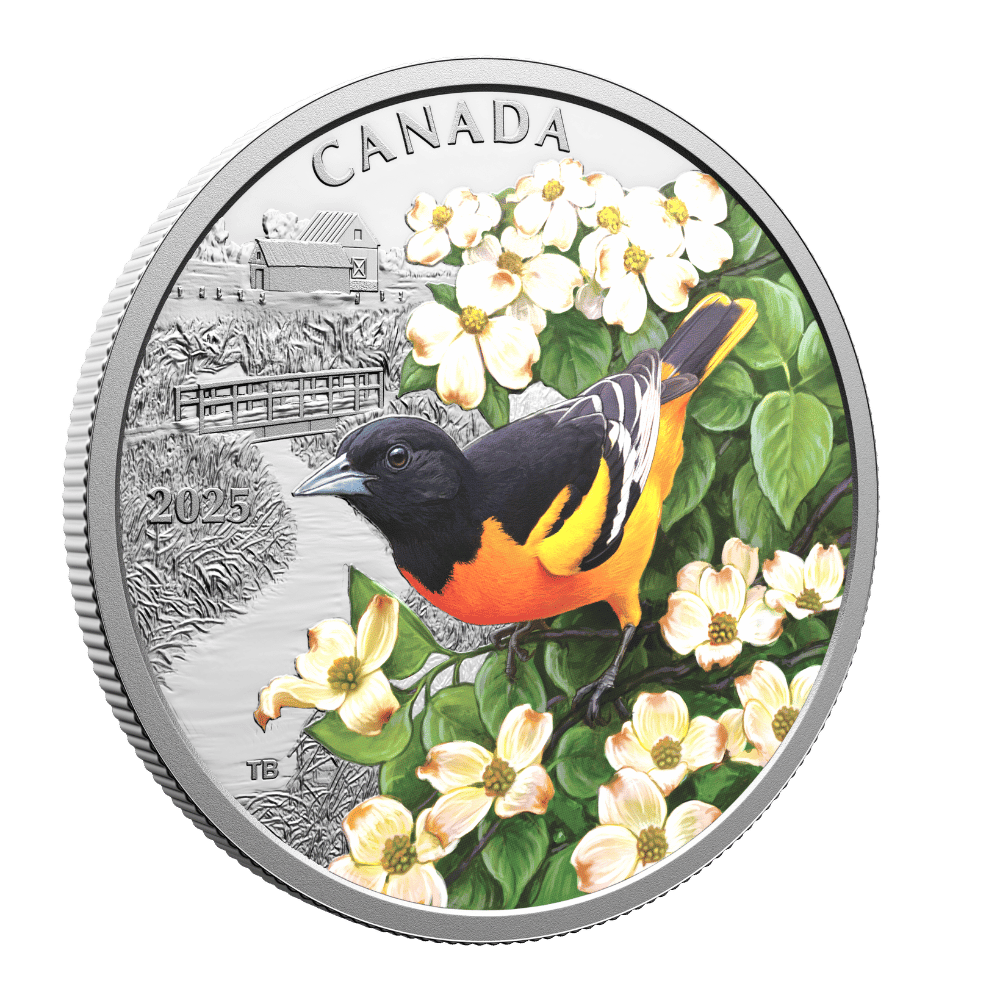 Colourful Birds Baltimore Oriole 1 Oz Fine Silver Coin Canada 2025 reverse Royal Canadian Mint