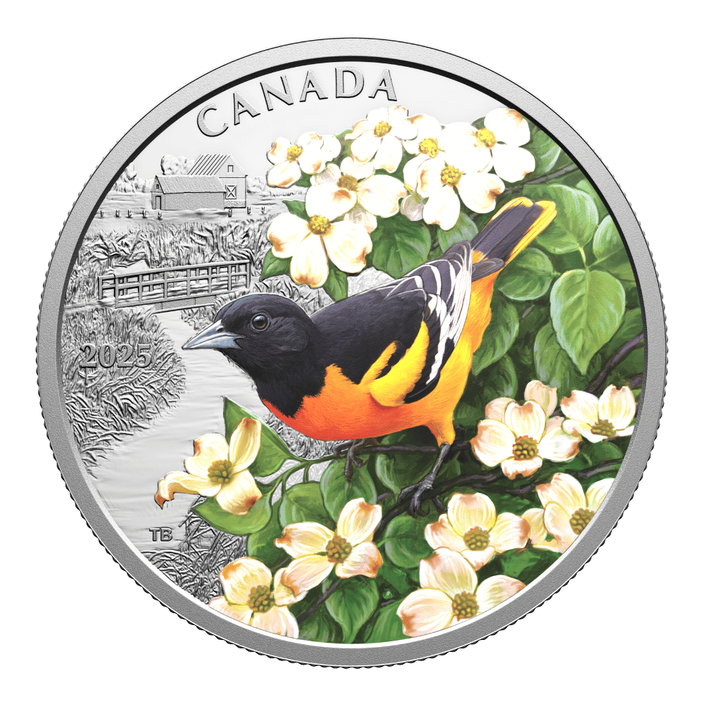 Colourful Birds Baltimore Oriole 1 Oz Fine Silver Coin Canada 2025 reverse1 Royal Canadian Mint