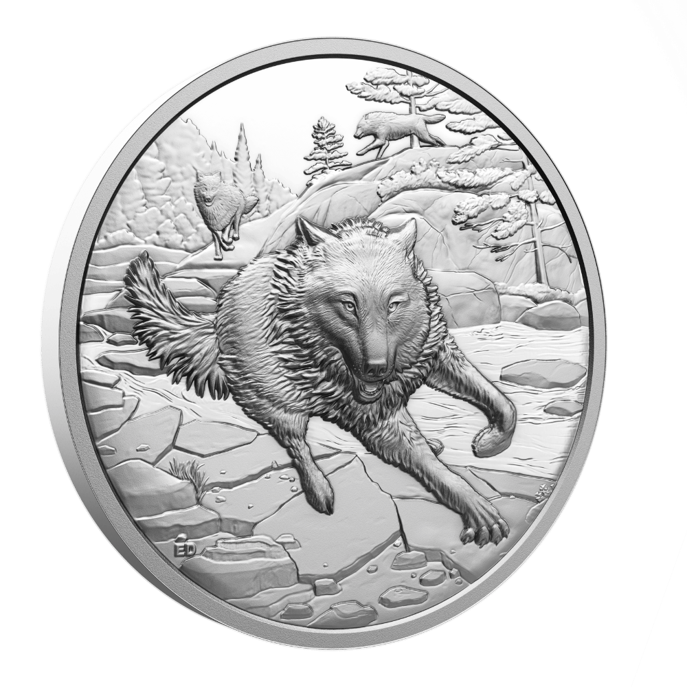 Great Hunters Grey Wolf 1 Oz Fine Silver Ultra High Relief Coin Canada 2025 reverse Royal Canadian Mint