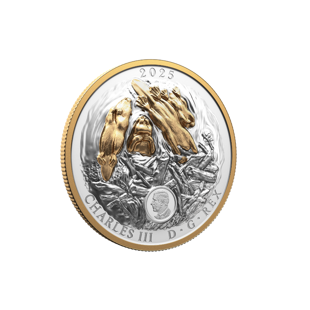 Canadian Symbol: The Beaver Fine Silver Coin Canada 2025
