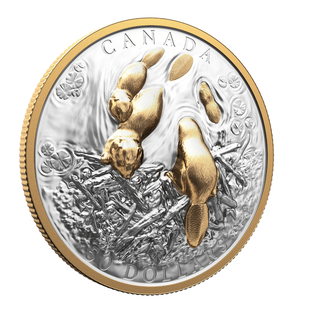 Canadian Symbol: The Beaver Fine Silver Coin Canada 2025 Royal Canadian Mint