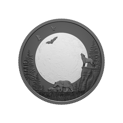 Moon phases Puzzle Coin Set Canada 2025