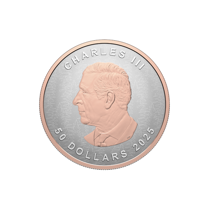 Silver Maple Leaf 5 Oz Fine Silver Coin Ultra-High Relief Coin 2025