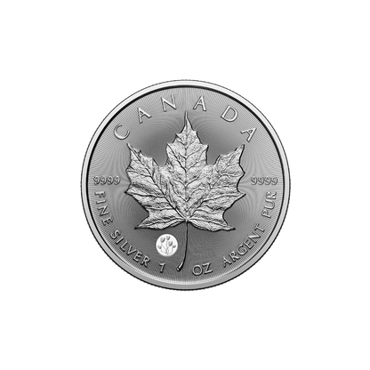 2026 Treasured Silver Maple Leaf: Celebration Privy Mark 1 Oz 99.99% Pure Silver Coin (Premium Bullion) Royal Canadian Mint