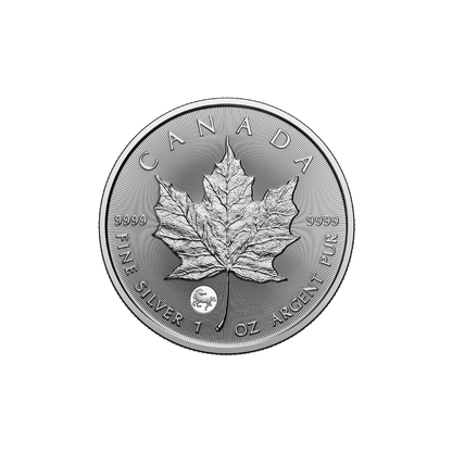 2026 Treasured Silver Maple Leaf: Year of the Horse Privy Mark 1 Oz 99.99% Pure Silver Coin (Premium Bullion) Royal Canadian Mint