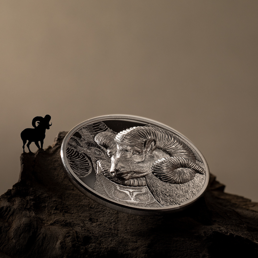 MAGNIFICENT ARGALI Wild Mongolia Ram 1 Oz Silver Coin 500 Togrog Mongolia 2022