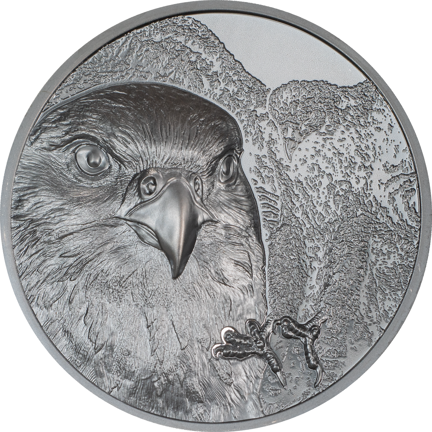 FALCON Wild Mongolia 2 Oz Silver Coin 1000 Togrog Mongolia 2023