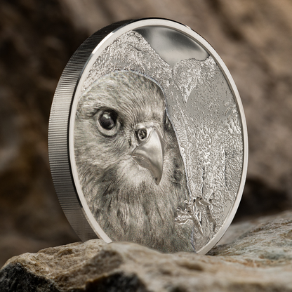 Falcon Wild Mongolia 3 Oz Silver Coin 2023