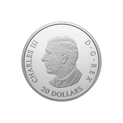 80ᵗʰ Anniversary of the End of the Second World War in Europe 1 Oz Silver Coin $20 Canada 2025