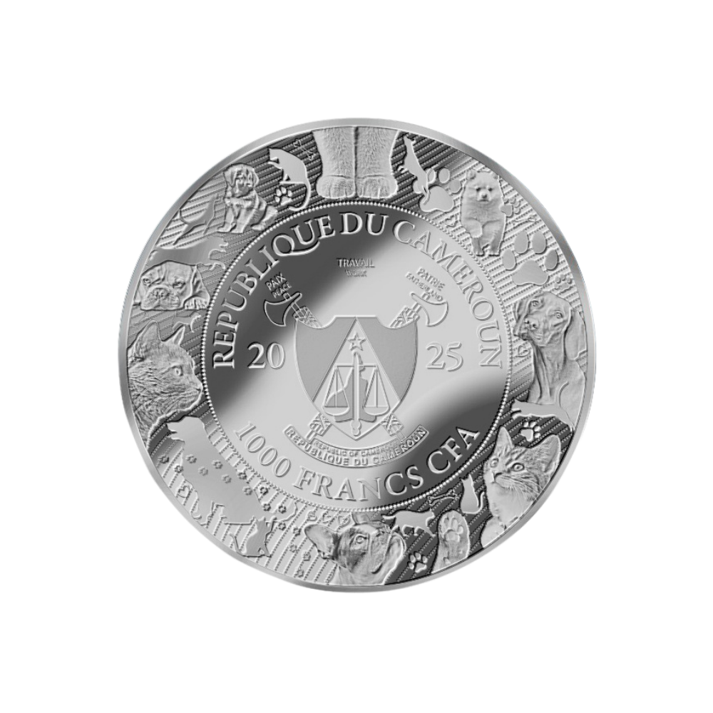 PIRATE CAT AI-NIMALS 1 Oz Silver Coin 1000 Francs Cameroon 2025