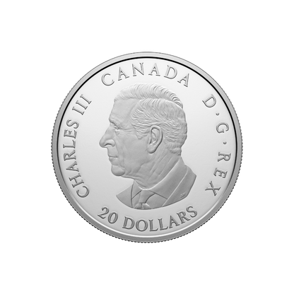 AMERICAN GOLDFINCH Colourful Birds 1 Oz Silver Coin $20 Canada 2024