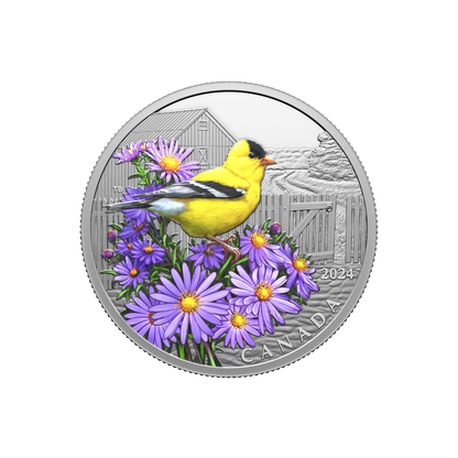 AMERICAN GOLDFINCH Colourful Birds 1 Oz Silver Coin $20 Canada 2024
