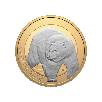 Animal Portraits Polar Bear 1 Oz Fine Silver Coin Canada 2025
