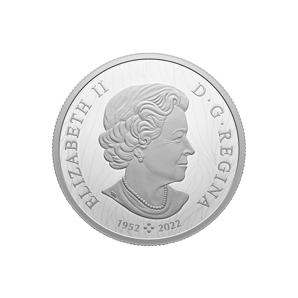 BISON Weather Watch Silver Coin $30 Canada 2024