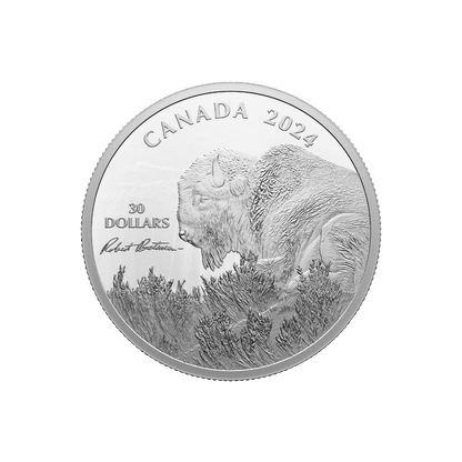 BISON Weather Watch Silver Coin $30 Canada 2024