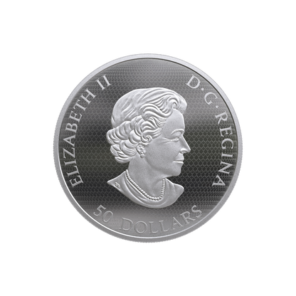 BUMBLE BEE AND BLOOM 5 Oz Silver Coin $50 Canada 2019