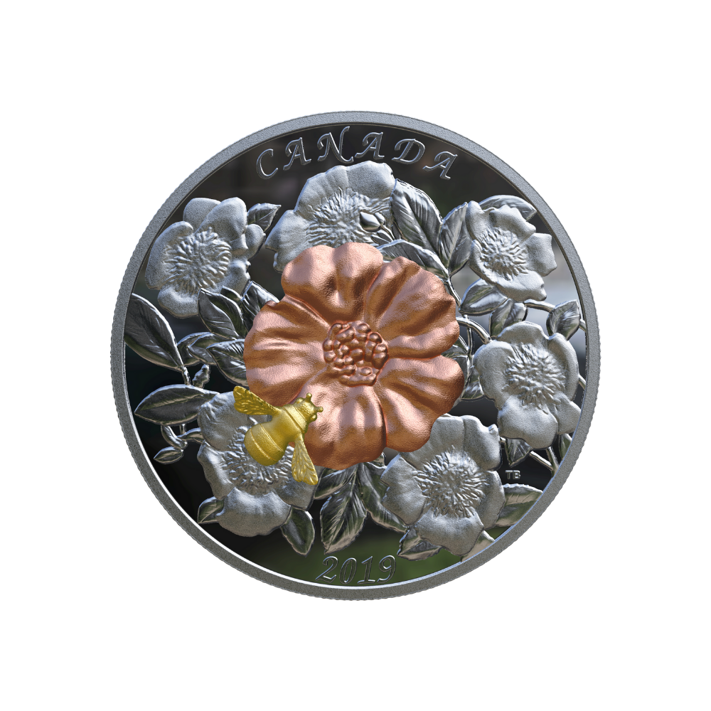 BUMBLE BEE AND BLOOM 5 Oz Silver Coin $50 Canada 2019