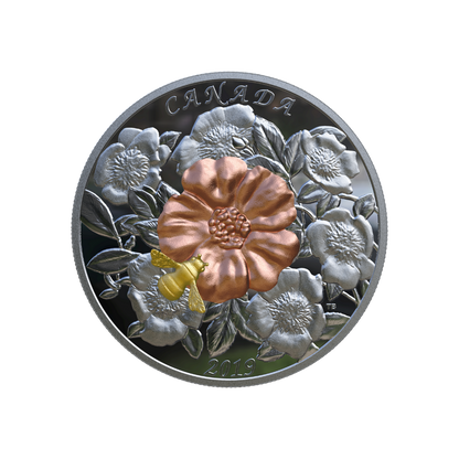 BUMBLE BEE AND BLOOM 5 Oz Silver Coin $50 Canada 2019