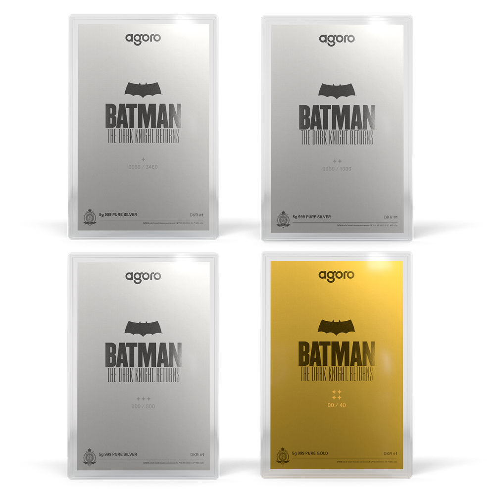 Batman: The Dark Knight Returns™ Blind Box Agoro