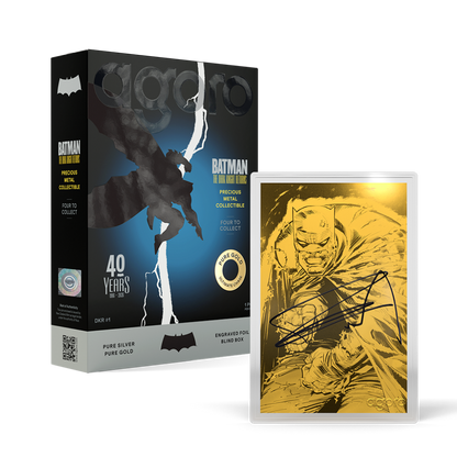 Batman: The Dark Knight Returns™ Blind Box Agoro