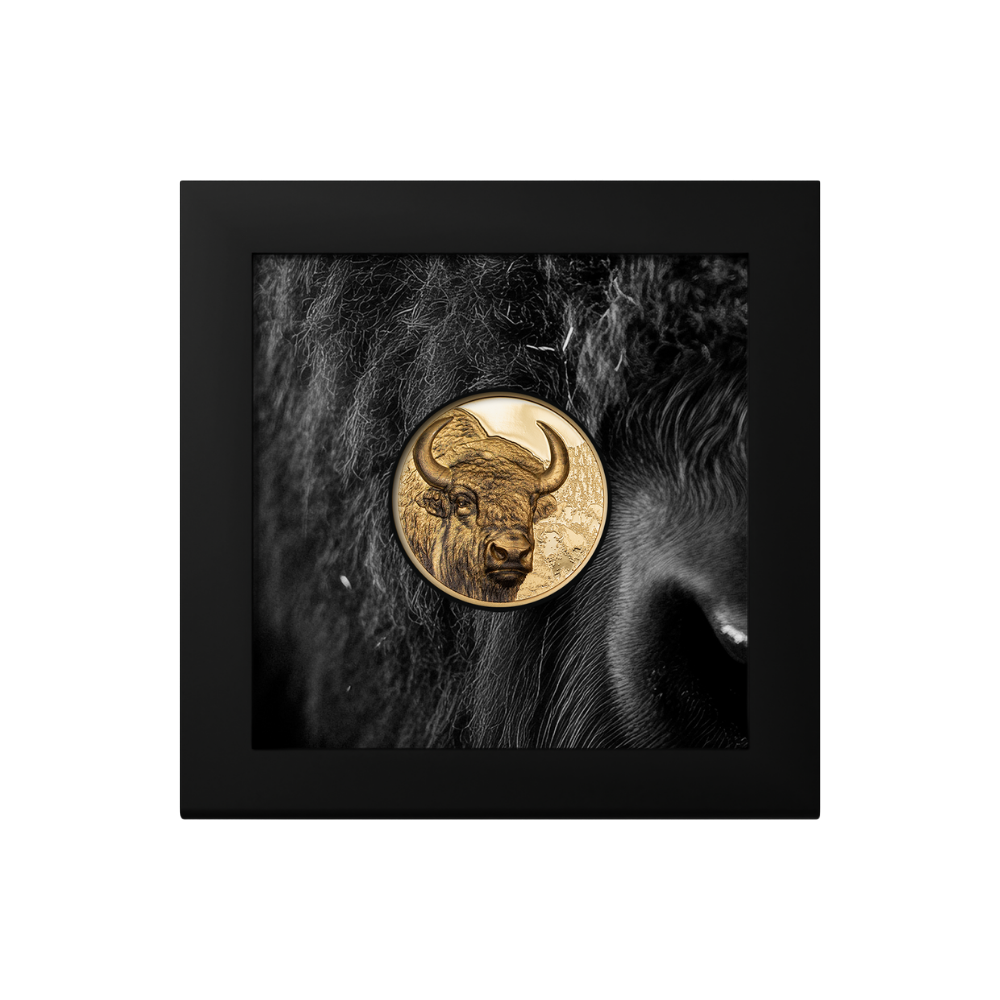 Bison Wild Mongolia 1 Oz Gold Coin 2025
