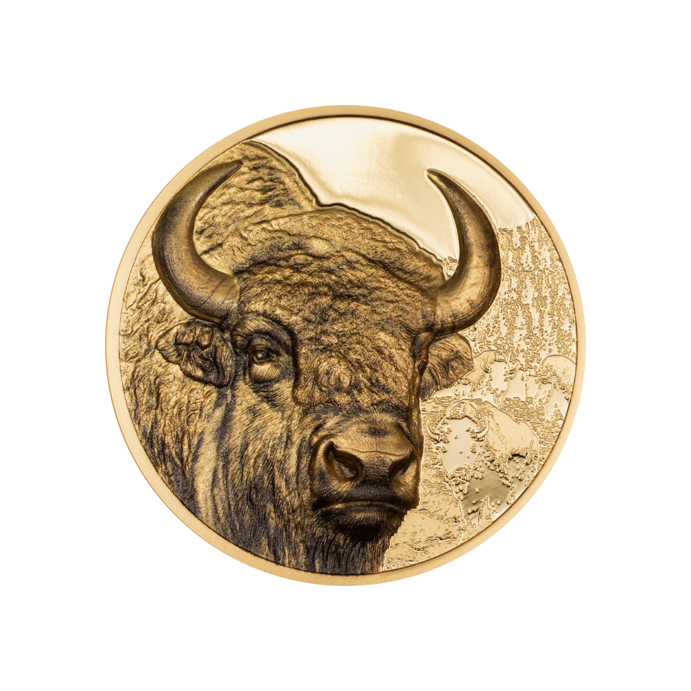 Bison Wild Mongolia 1 Oz Gold Coin 2025