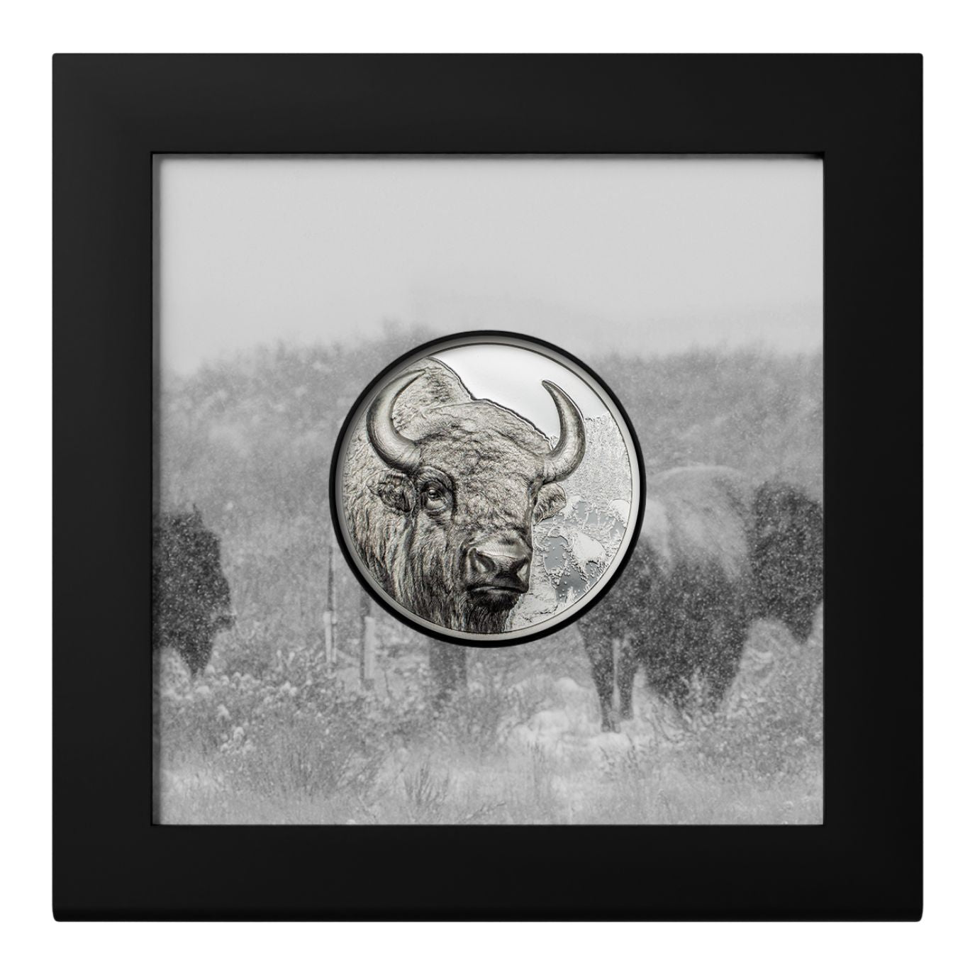 Bison Wild Mongolia 1 Oz Silver Coin 2025 - PARTHAVA COIN