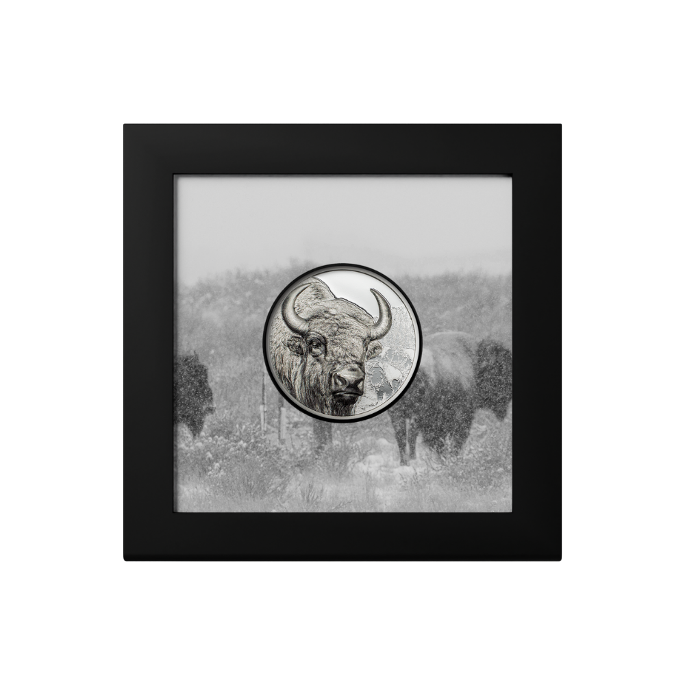 Bison Wild Mongolia 1 Oz Silver Coin 2025