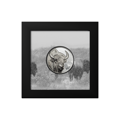 Bison Wild Mongolia 1 Oz Silver Coin 2025