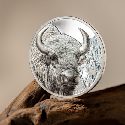 Bison Wild Mongolia 1 Oz Silver Coin 2025 - PARTHAVA COIN
