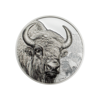 Bison Wild Mongolia 1 Oz Silver Coin 2025